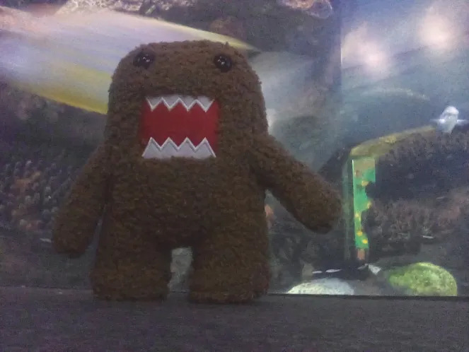 Domo
